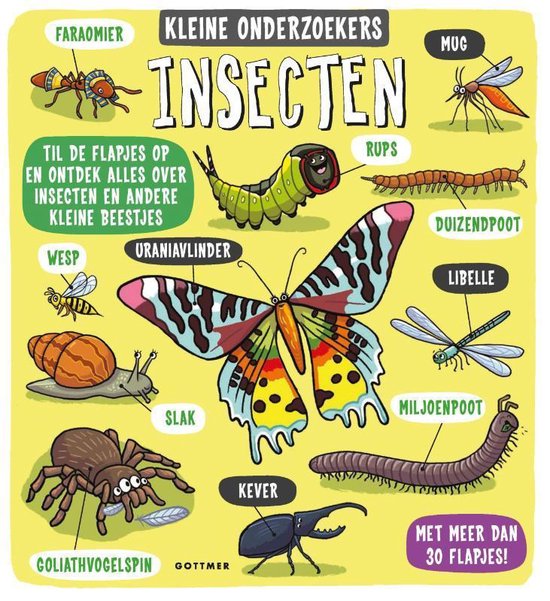 Kleine onderzoekers - Insecten