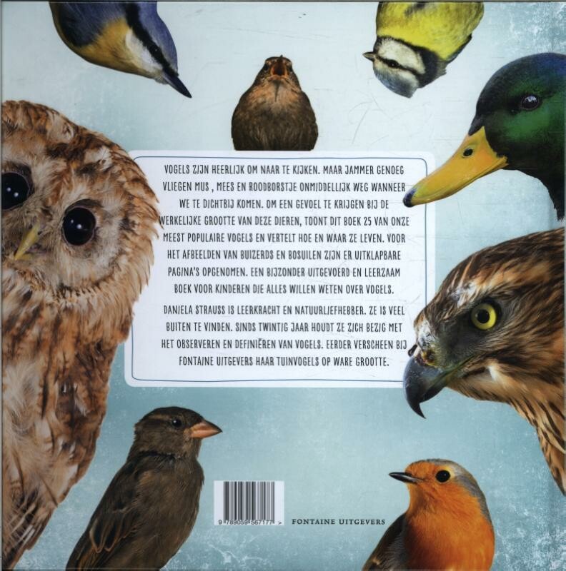 Wie is hier de grootste? - Image 2